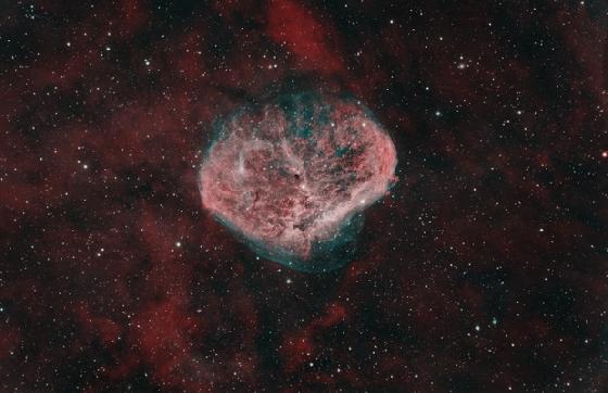 CELESTRON C8 Edge HD - Version Carbone