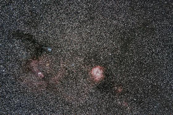 La Rosette en grand champ