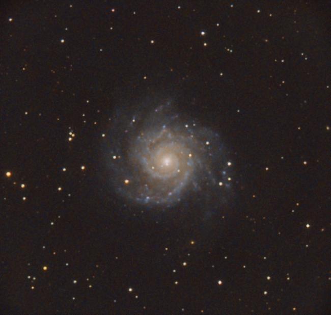 m 74