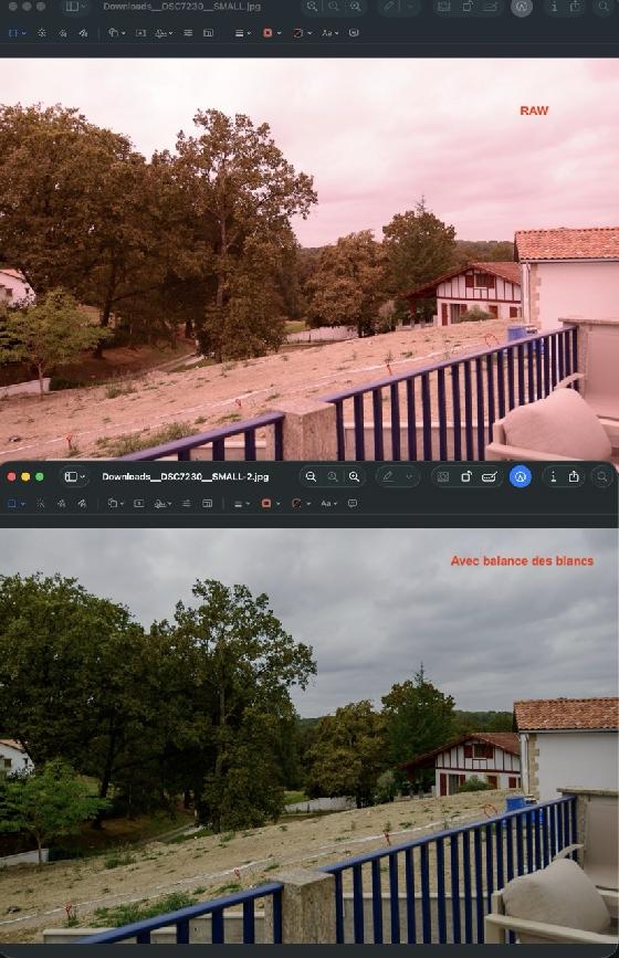 Nikon D800 conversion visuel et astro pour Ha (Hydrogen-alpha) - Firmware True Dark Current