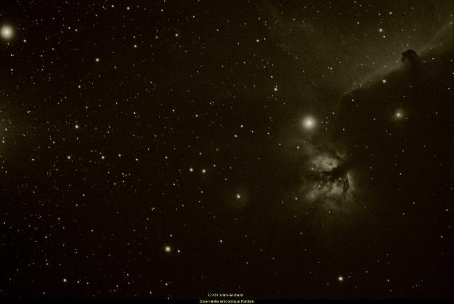 Nébuleuse de la tête du cheval