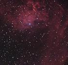 flamboyante multifocale