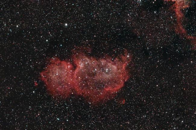 IC1848