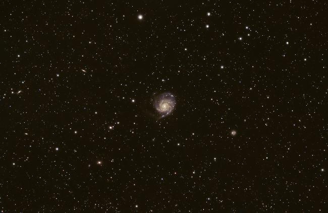M101