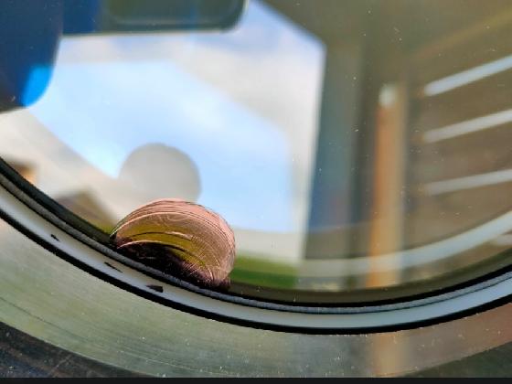 Vds ou ech ensemble lunette Meade ed 178mm de 9 et monture losmandy g11