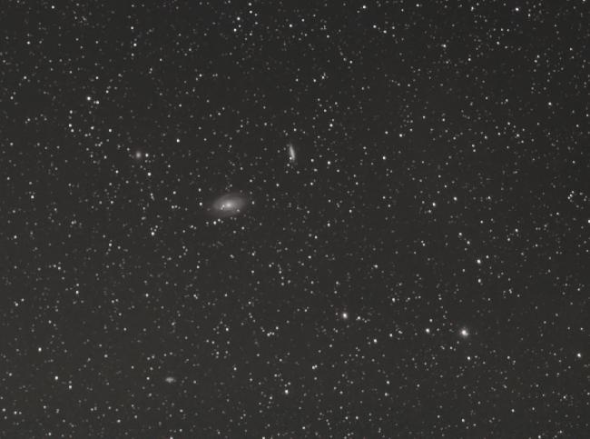 M81