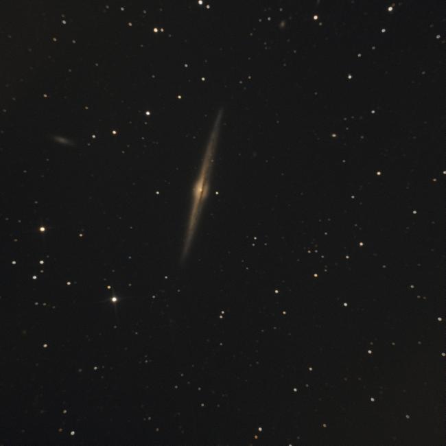 NGC 4565