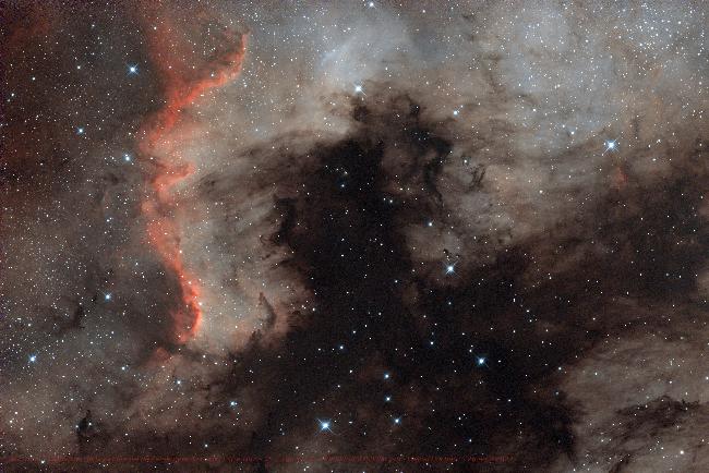 NGC7000 nébuleuse Amérique du nord 