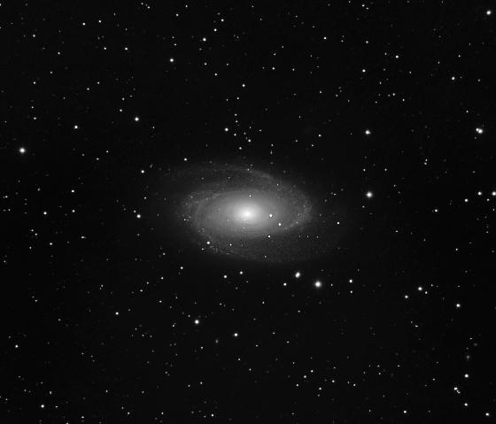 M81