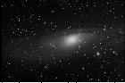 M31