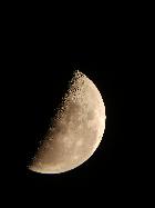 lighbridge + portable