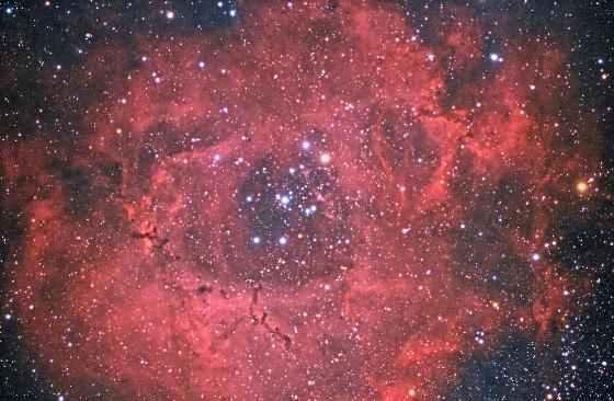 Rosette de Normandie