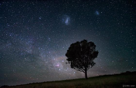 samyang 20mm test officiel