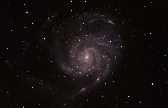 Celestron C8 + nombreux accessoires / état neuf