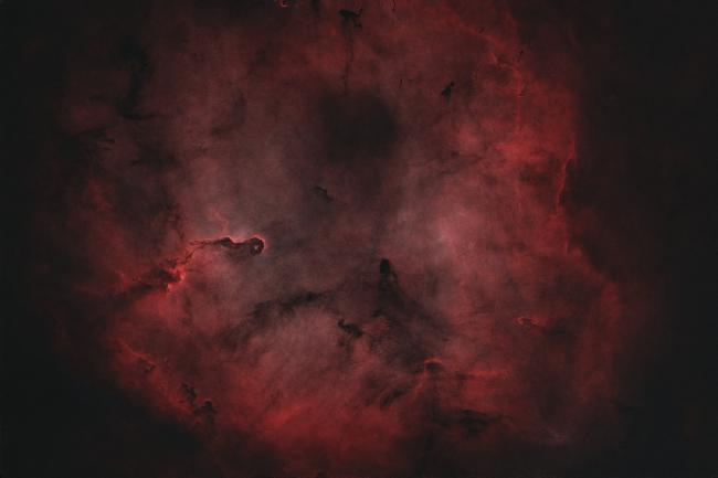 Trompe d"elephant et tout le nuage