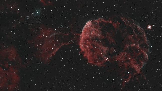 Jellyfish le 11/01/24