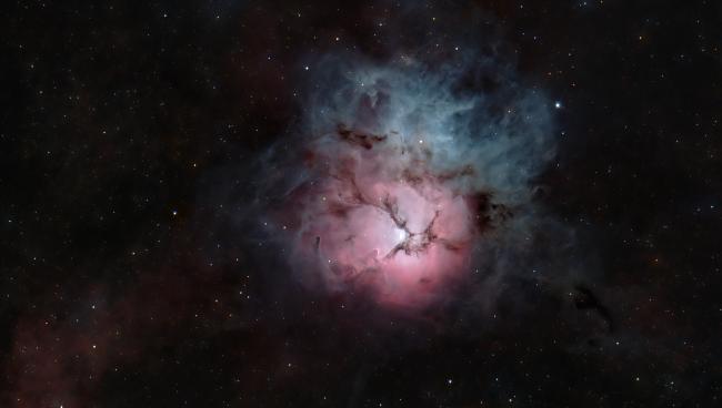 Le TREFLE en couleur naturelle