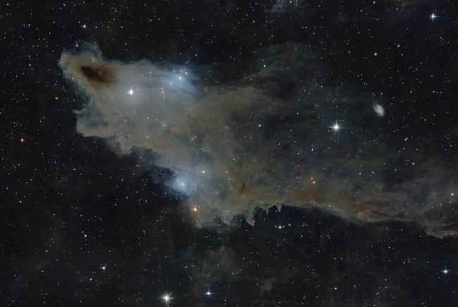 Nébuleuse sombre du Requin