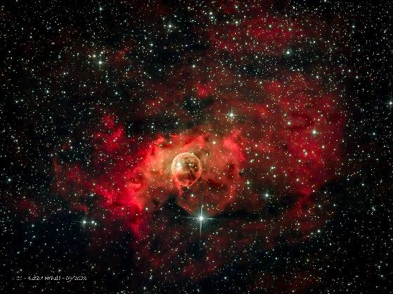 Newton 300/1000 F5 Photon