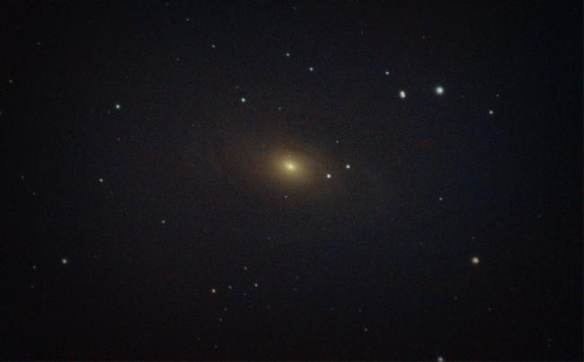 M81