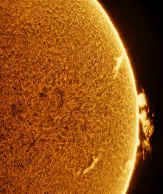 Daystar Quark