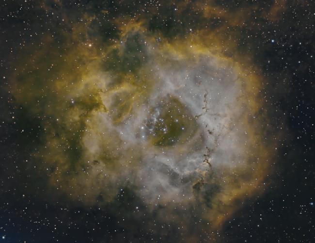 Nébuleuse de la Rosette en SHO