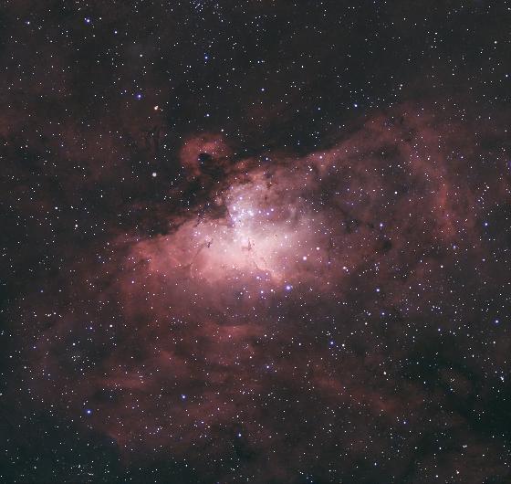 Vente lunette Sky-Watcher Evolux 82ED + correcteur 0,9×