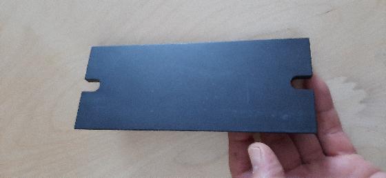 Queue d'aronde Femelle