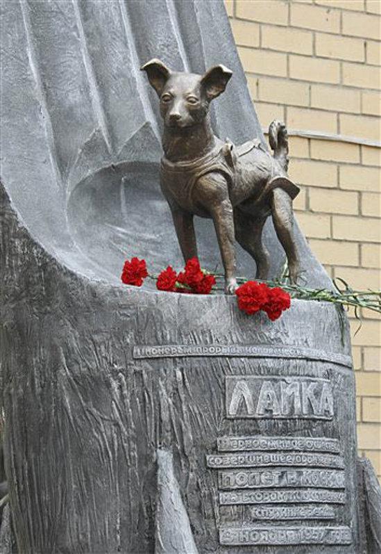 Laika in Moscow