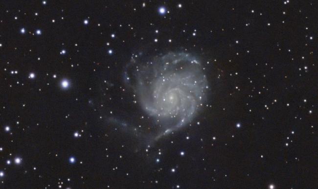 M101