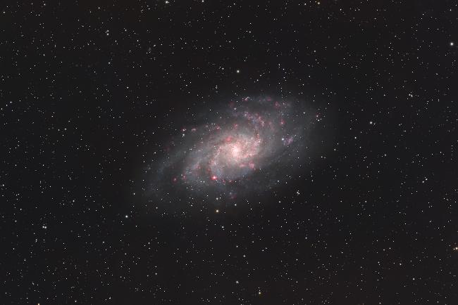 M33