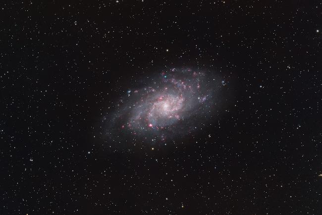 M33