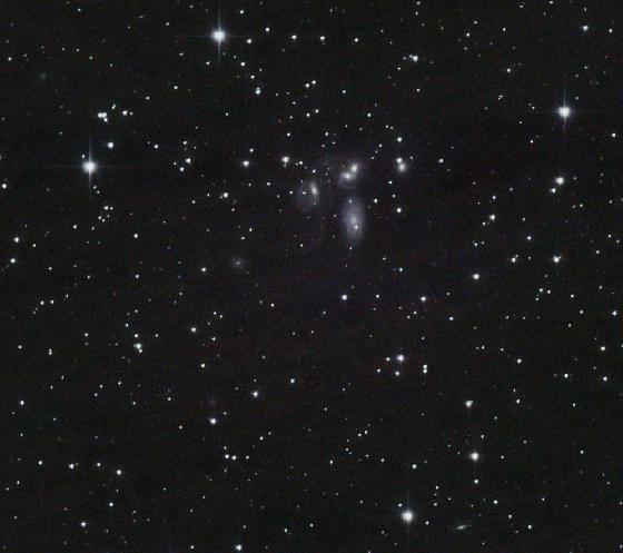 Quintette de Stephan - Crop