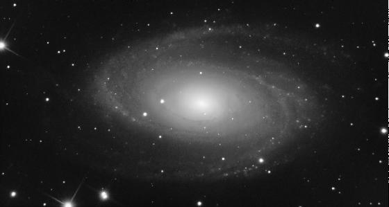 M81