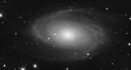 M81 bis