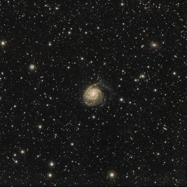 M101