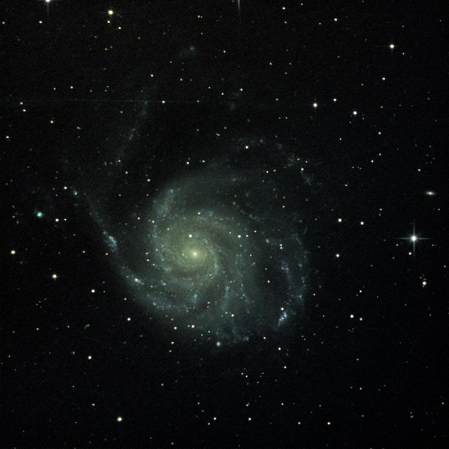 M101