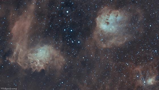 CAMERA ZWO ASI 585 MC PRO