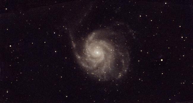 M101