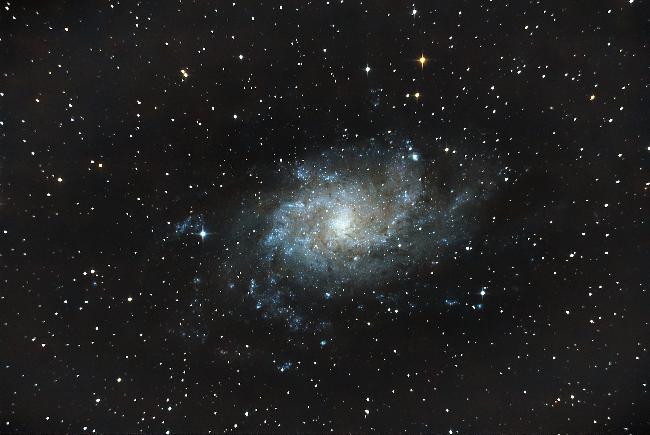 M33