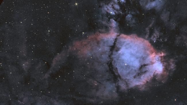 nébuleuse tête de Poisson