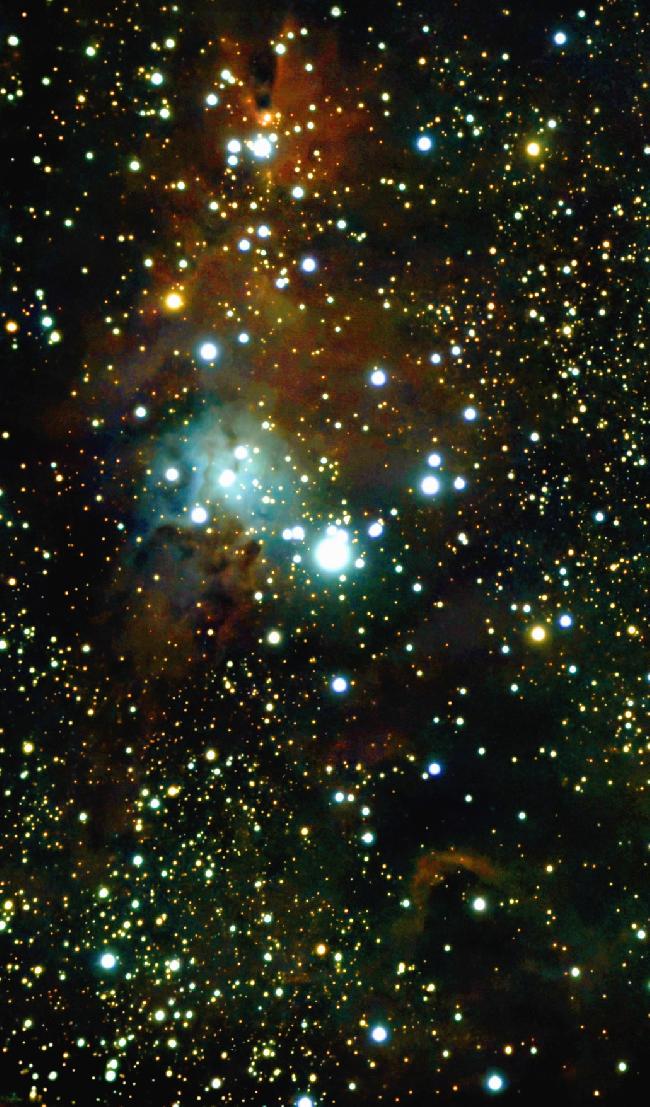 NGC 2264