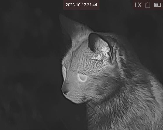 Camera thermique Hikmicro haut de gamme FALCON FH35 etat neuf