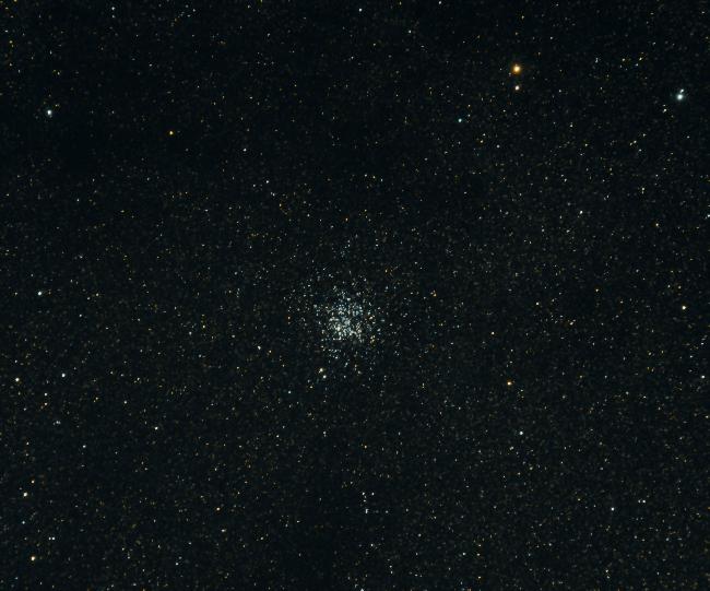 m11 - Amas du canard sauvage