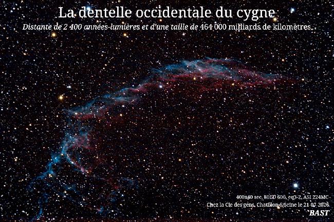 dentelle du cygne