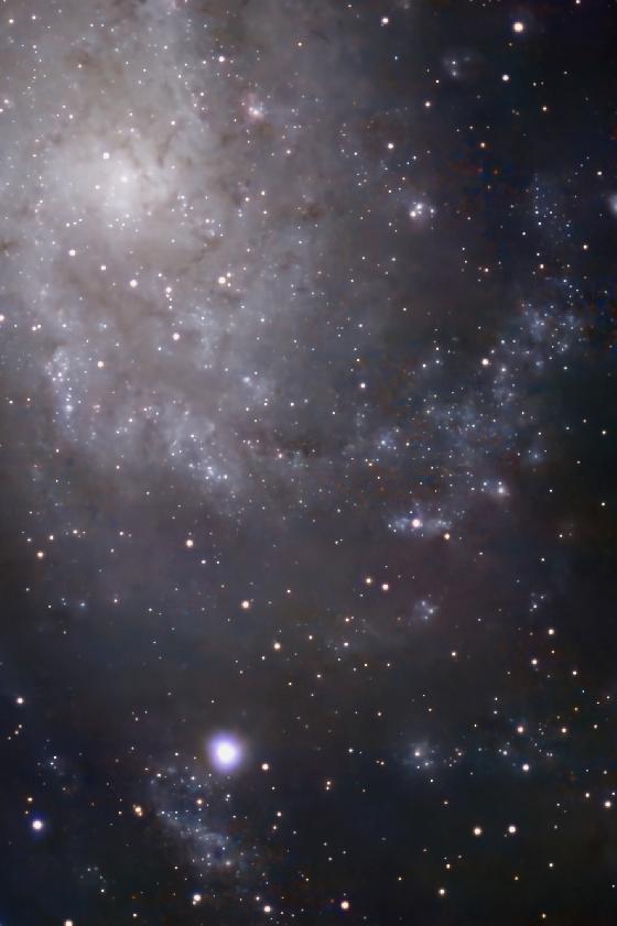 M33