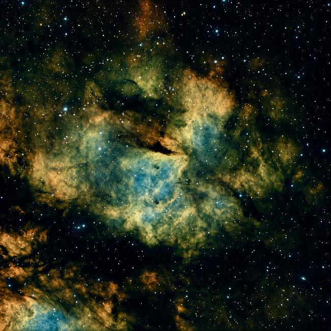IC 1318B – Région de Sadr (Constellation du Cygne)