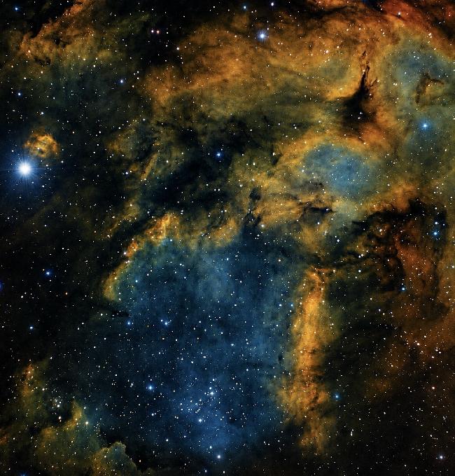 SADR IC 1318