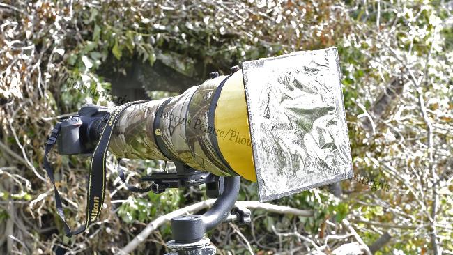OD 5.0 sur 400mm NIKKOR