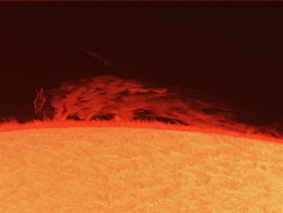 Bête Solaire le 2017/12/16